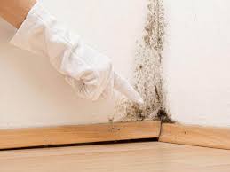 Best Commercial Mold Inspection  in Fort Washington, MD